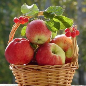 яблоки - источник углеводов